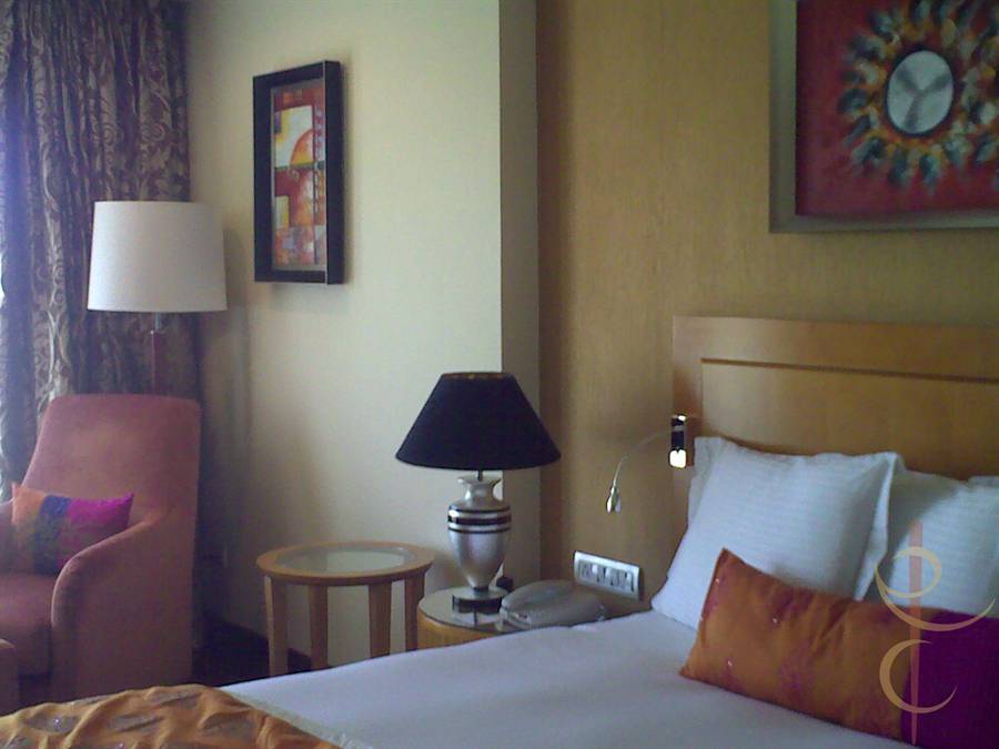 Radission, Udaipur
