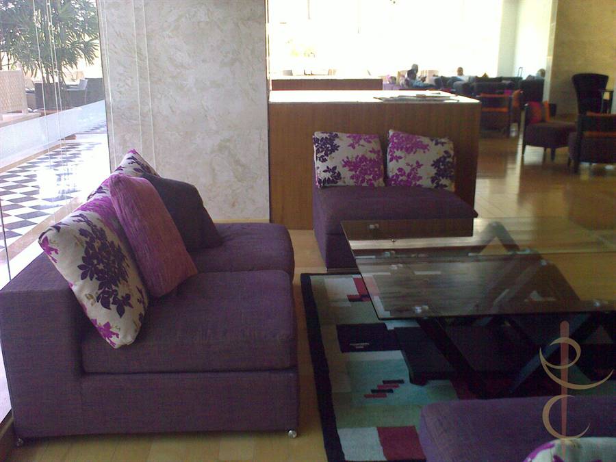 Radission, Udaipur